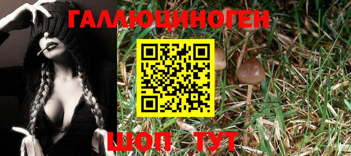 Галлюциногенные грибы ЛСД  Вход с VPN  Тобольск 